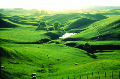 New Zealand eco-friendly tourism: accommodation, activities