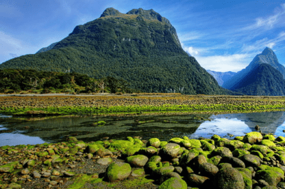 New Zealand National Parks: Tongariro, Te Urewera, Fiordland, Aoraki/Mount Cook
